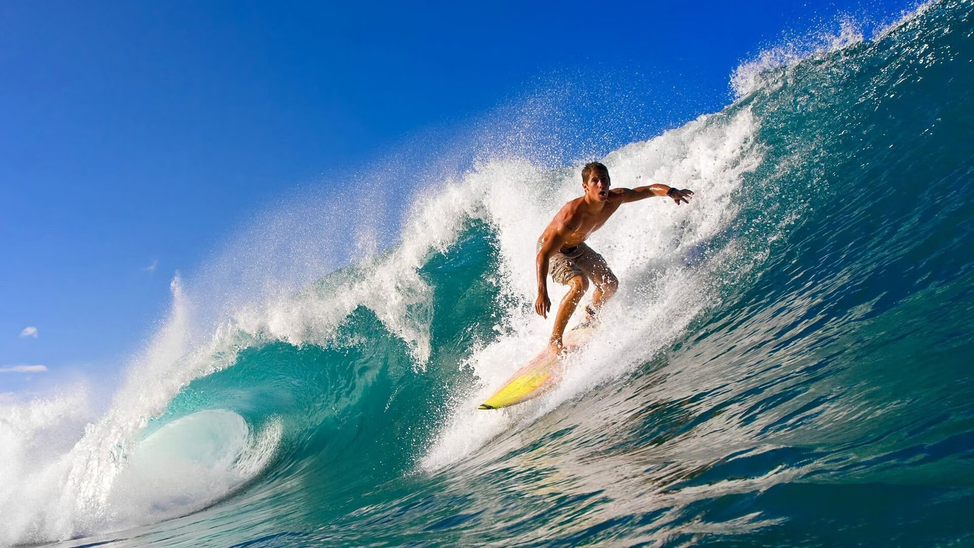 冬季奥运会精彩项目盘点